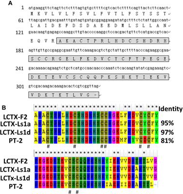 LCTX-F2, a Novel Potentiator of Coagulation Factors From the Spider Venom of Lycosa singoriensis